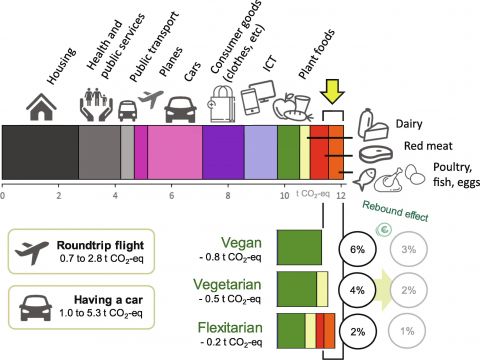 Fig. 2. Effect of dietary shifts on the yearly greenhouse gas emissions (in CO2-eq) of a Western individual (example for the average Frenchmen; after https://ravijen.fr/?p=440), taking into account the dietary effects of veganism and vegetarianism (Hallström et al., 2015; Wynes & Nicholas, 2017) and flexitarianism (a 60% decrease in meat intake, from 200 to 80 g/p/d), as well as potential rebound effects (Grabs, 2015). Transportation data (car and flights) are obtained from Wynes and Nicholas (2017). ICT = information and communications technology.