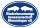 RBG Memmingen Logo Blau Gif